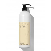 Backbar nourishing shampoo n°02